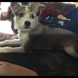 Meet your Posher, Patricia